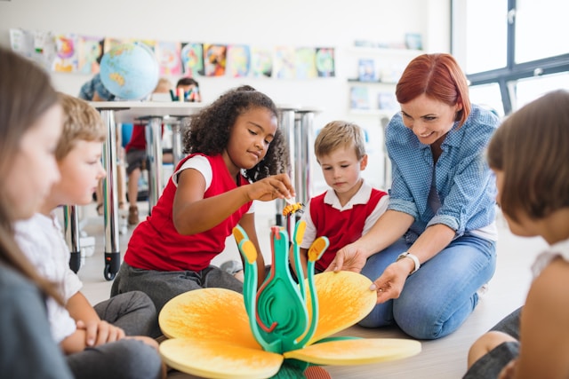 basisonderwijs in Nederland